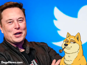 DogeNews - Elon Twitter Dogecoin