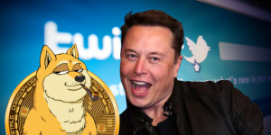 Dogecoin Twitter Elon Musk