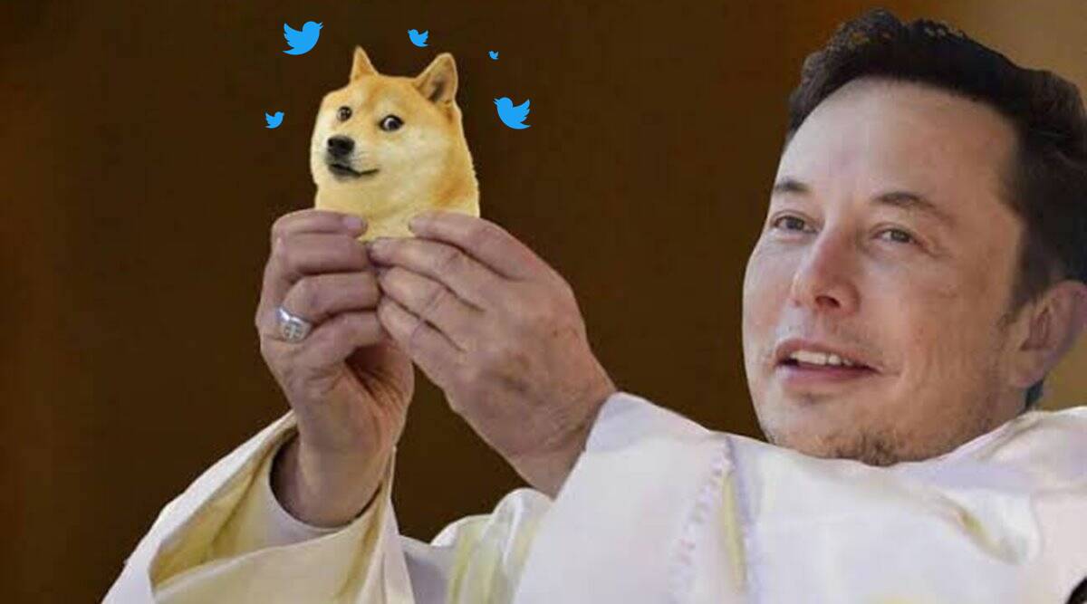 Elon Musk Dogecoin Twitter Acquisition