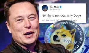 Elon Musk Doge Coin Meme Funny